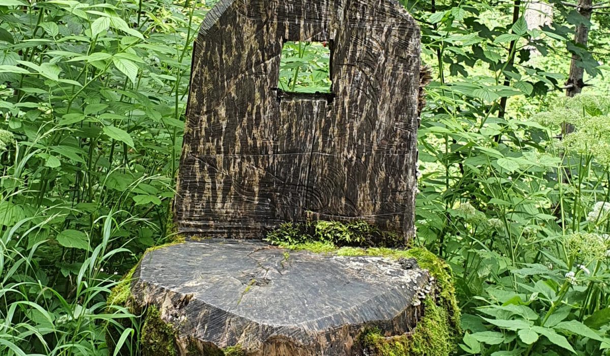Aus einem Baumstumpf gefertigter Stuhl in einem Wald