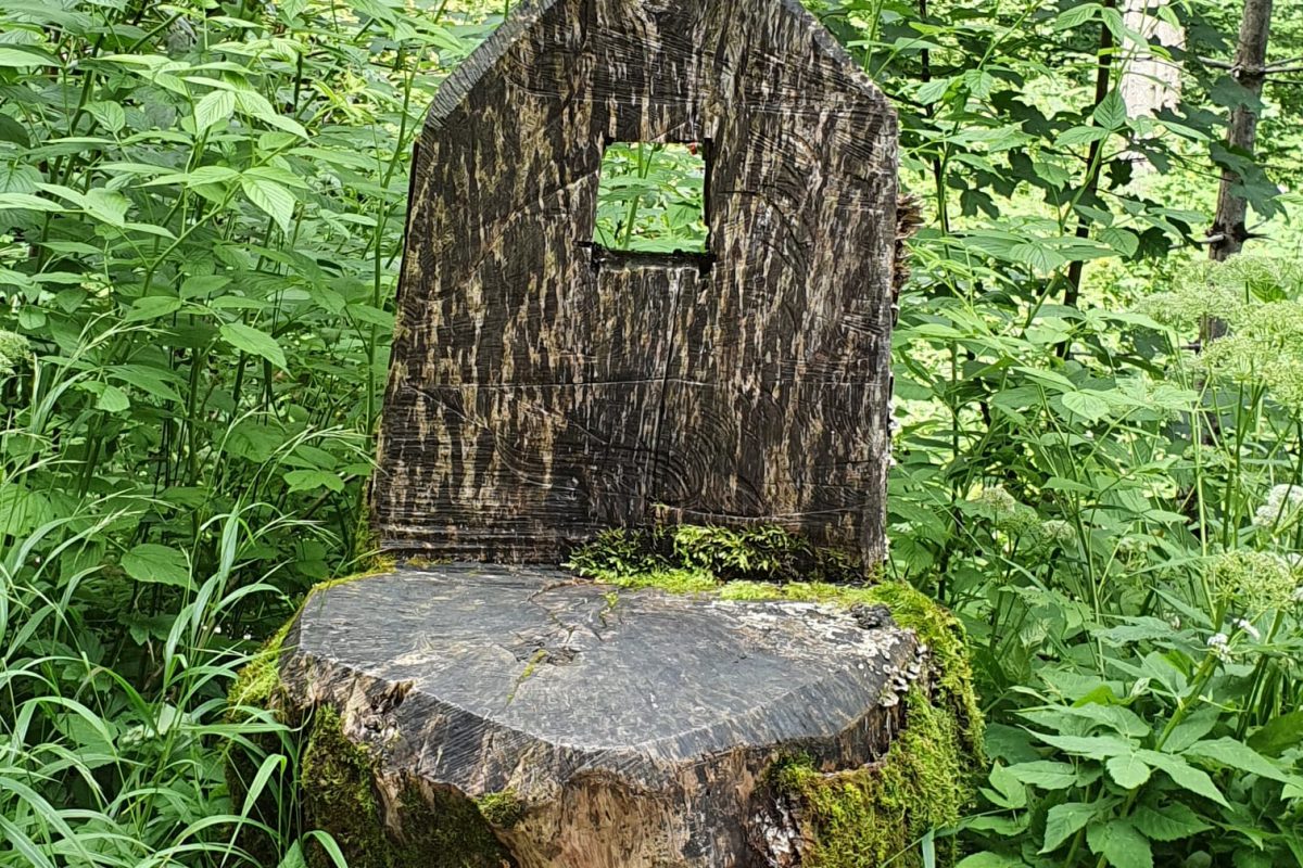 Aus einem Baumstumpf gefertigter Stuhl in einem Wald